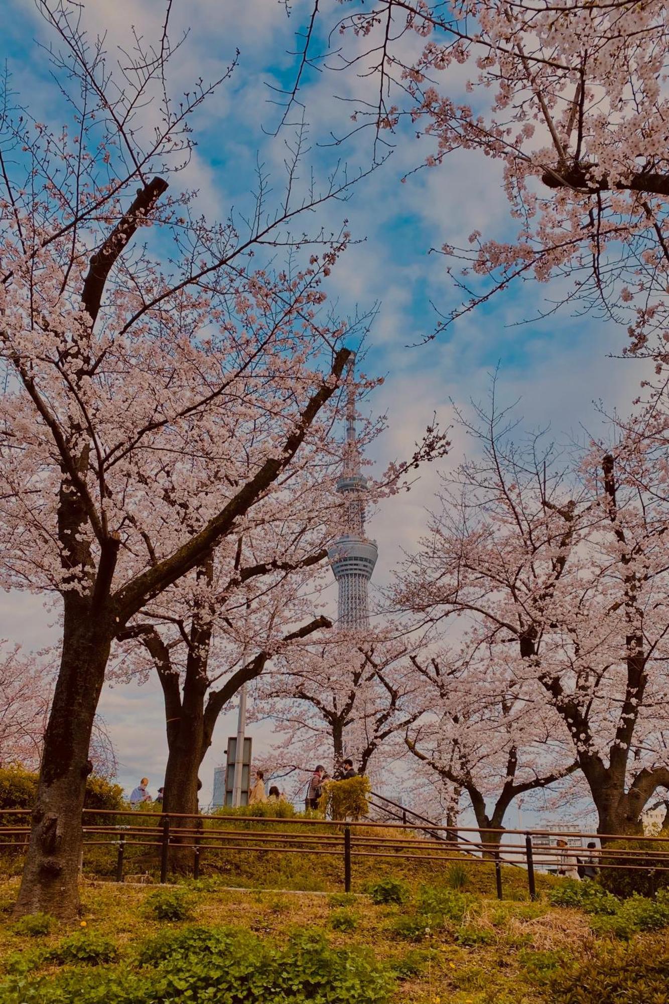 Toe Library Tokyo Asakusa ภายนอก รูปภาพ